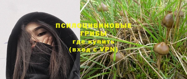 дурь Осташков