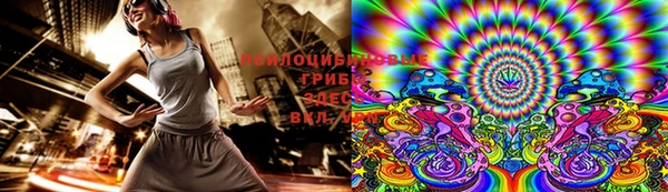 дурь Осташков