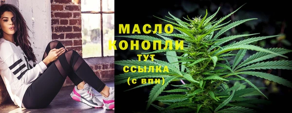 гидра Дубовка