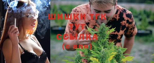 дурь Осташков