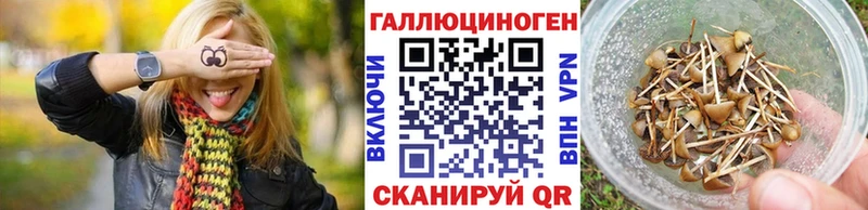 hydra зеркало  Рузаевка  Галлюциногенные грибы мицелий  наркотики 